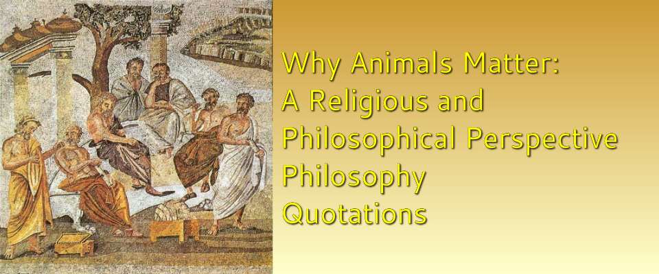 Why Animals Matter: A Religious and philosophical perspective philosophy  Quotations - Think Differently About Sheep